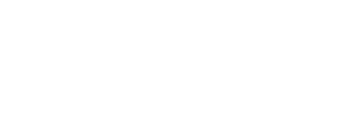 light logo
